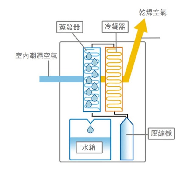 20250701-26ysp