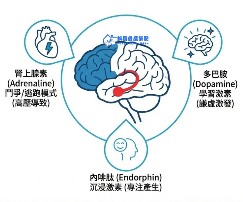 《主角模式》：為什麼你越努力，人生越像配角？5 個反直覺成長心法